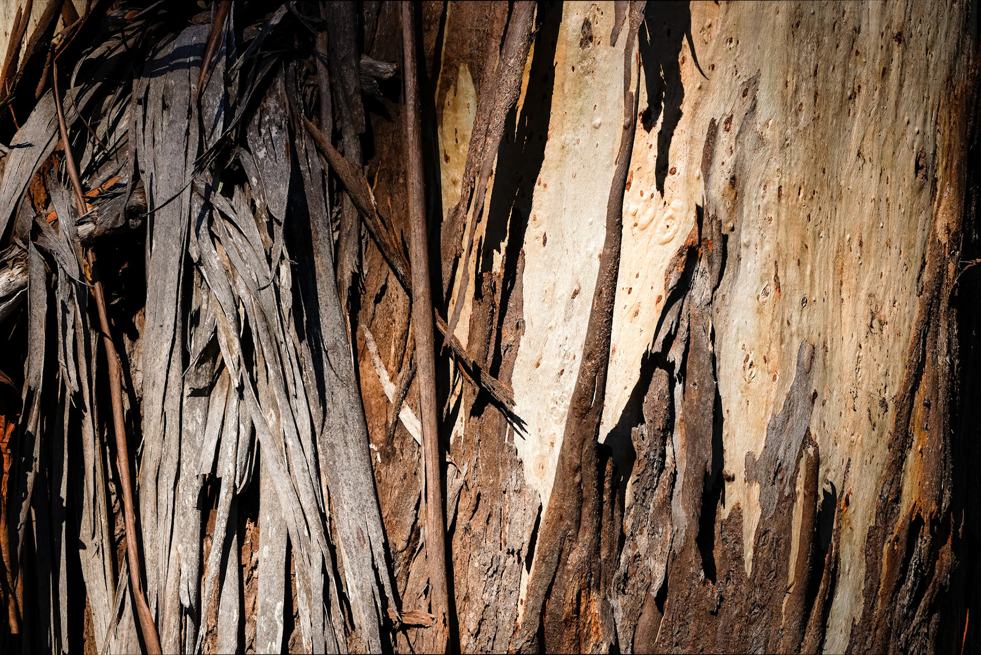 Landscape, Bruny Island, Tasmania, Australia