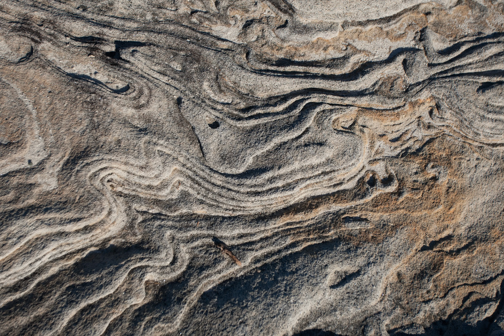 Weathering patterns in the rocks, Cape Solander, Kamay Botany Bay National Park