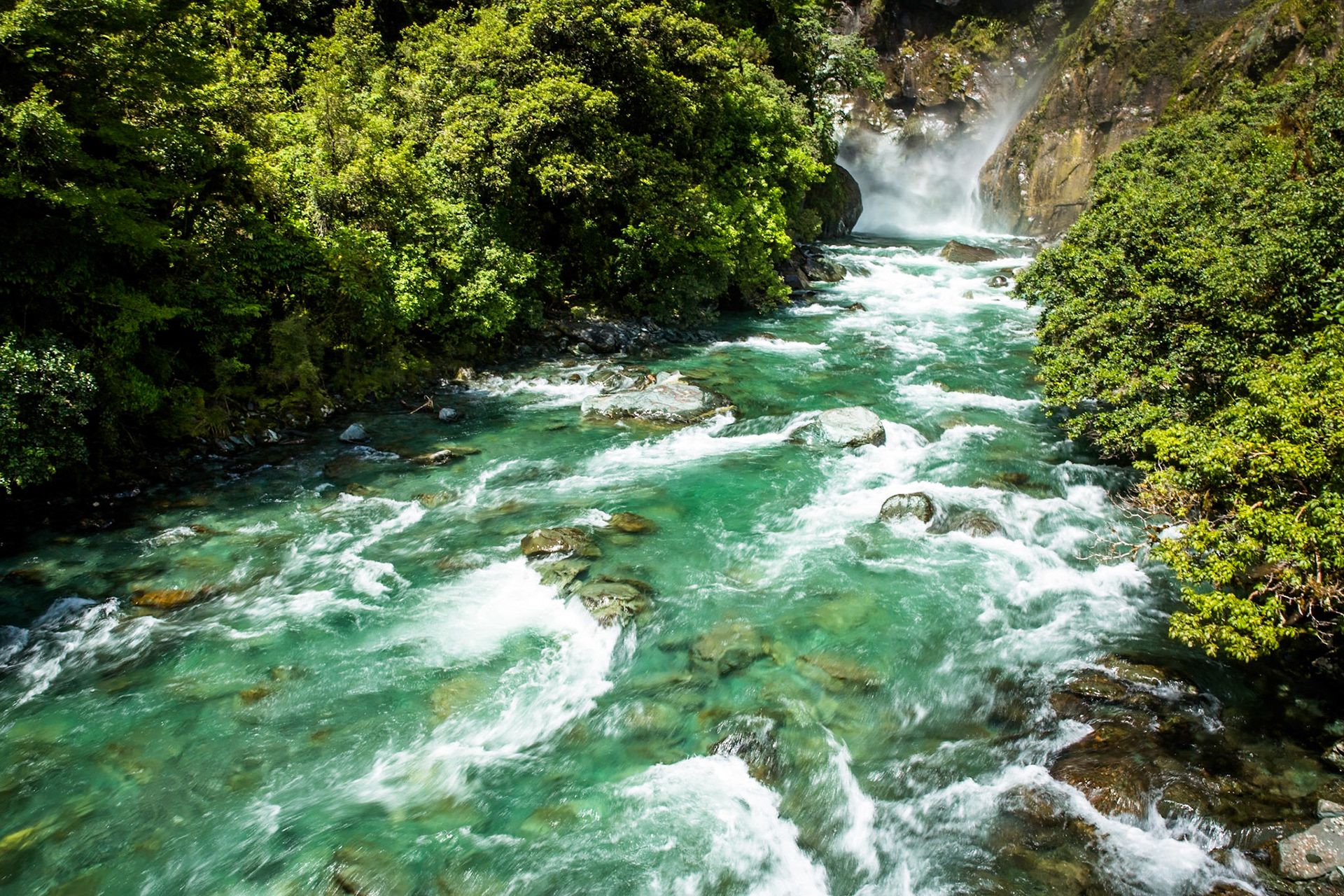 Hollyford Track to Pyke Lodge, New Zealand