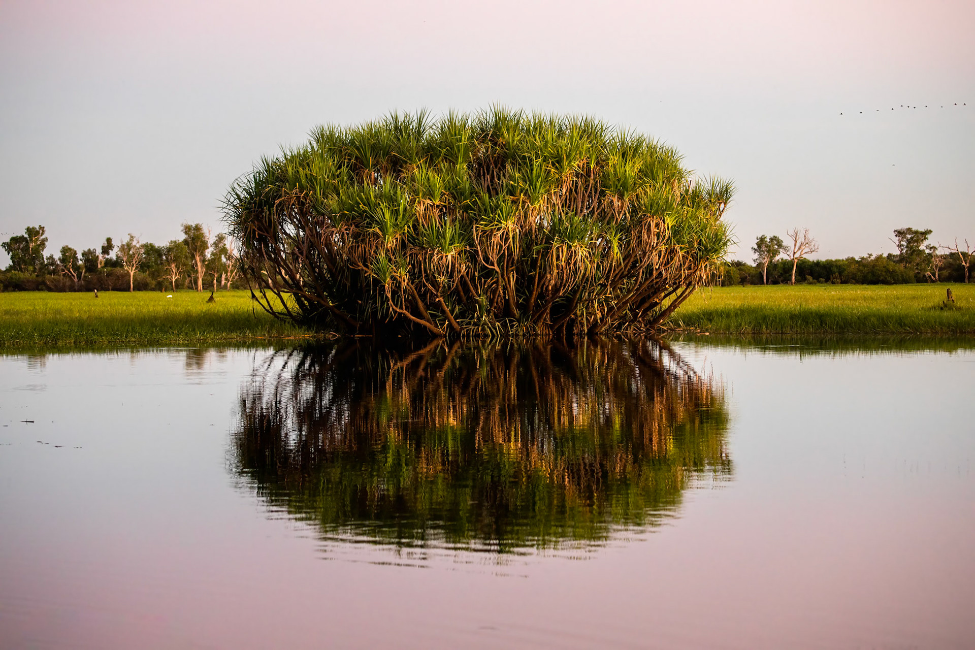 Yellow waters billabong, Kakadu, Northern Territory, Australia