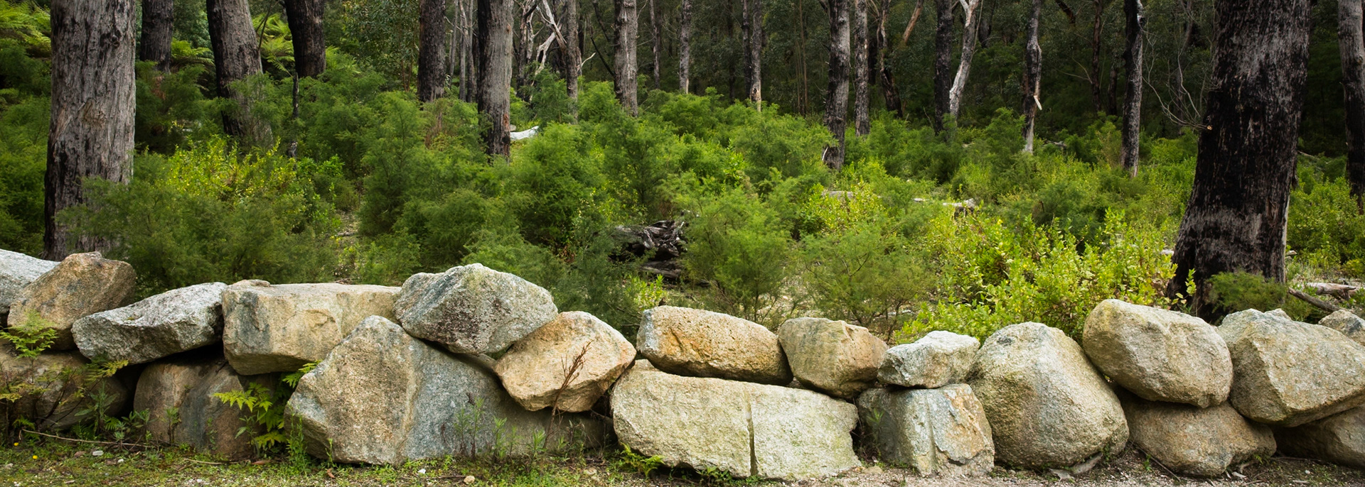 Circuit from Telegraph Saddle via Telegraph Junction to Oberon Bay (lunch), then Little Oberon Bay, Norman Point  and Norman Beach to Tidal River.