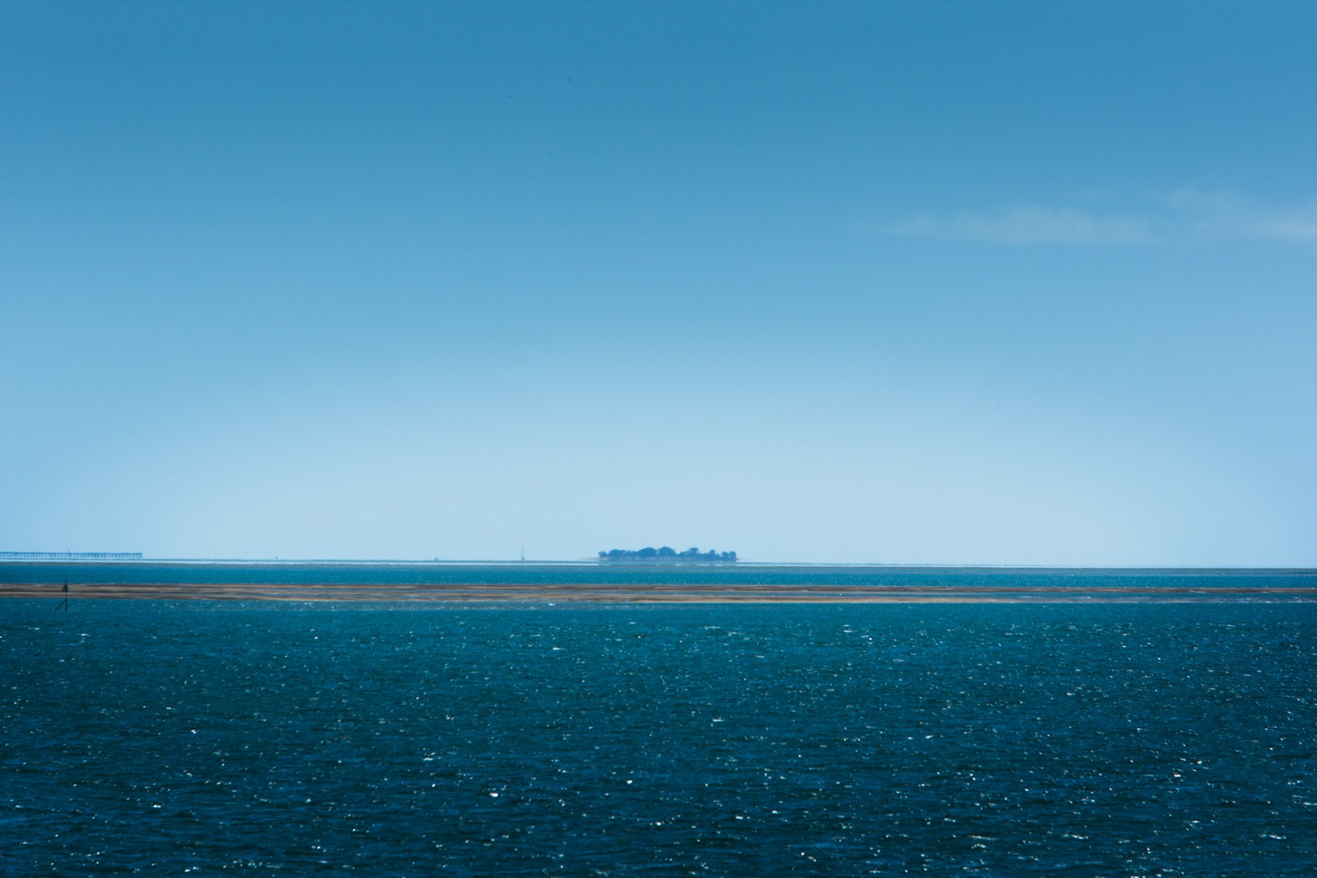 Trees and sandbank, Hervey Bay near Fraser Island, Queensland