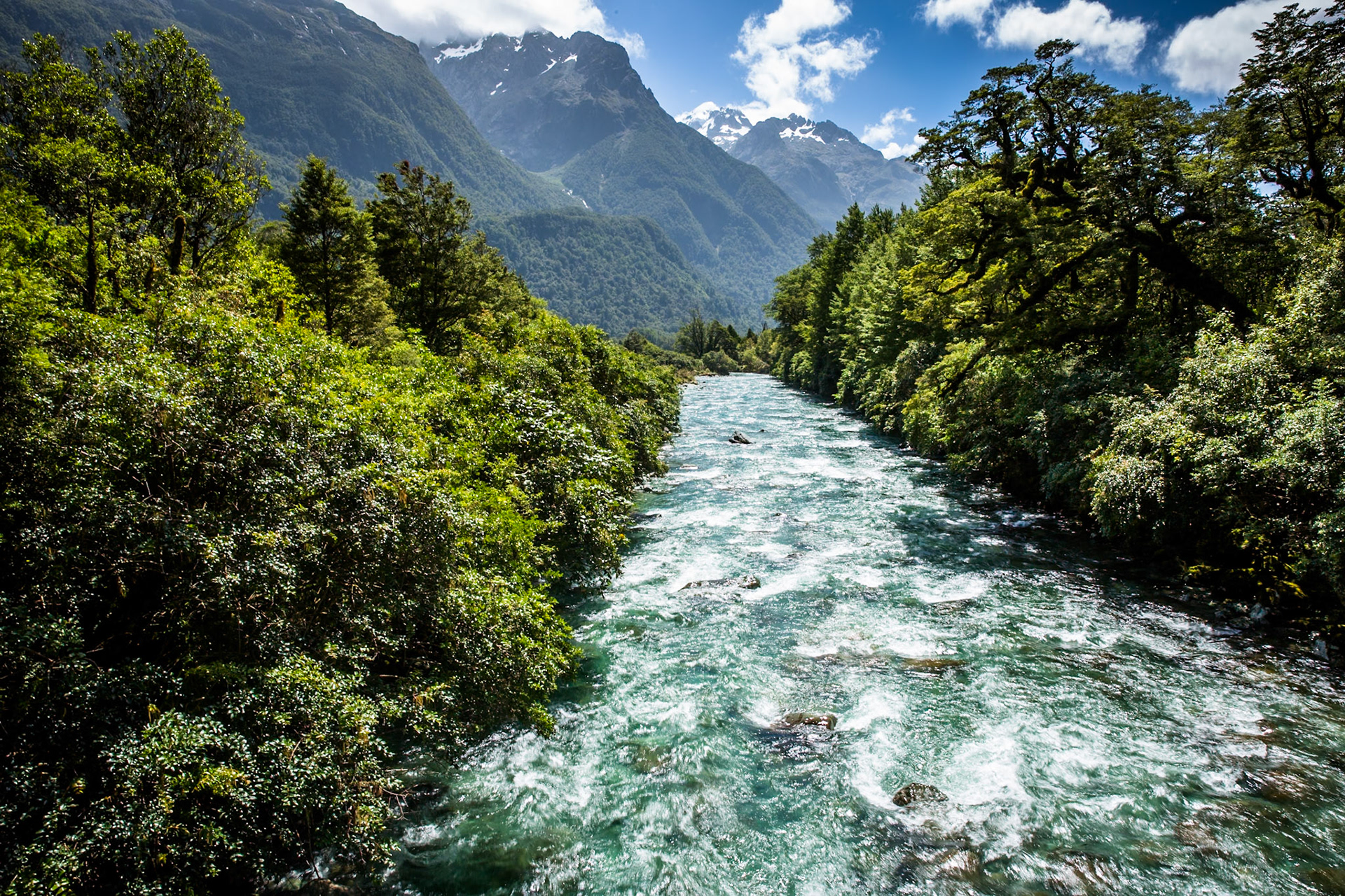 Hollyford Track to Pyke Lodge, New Zealand