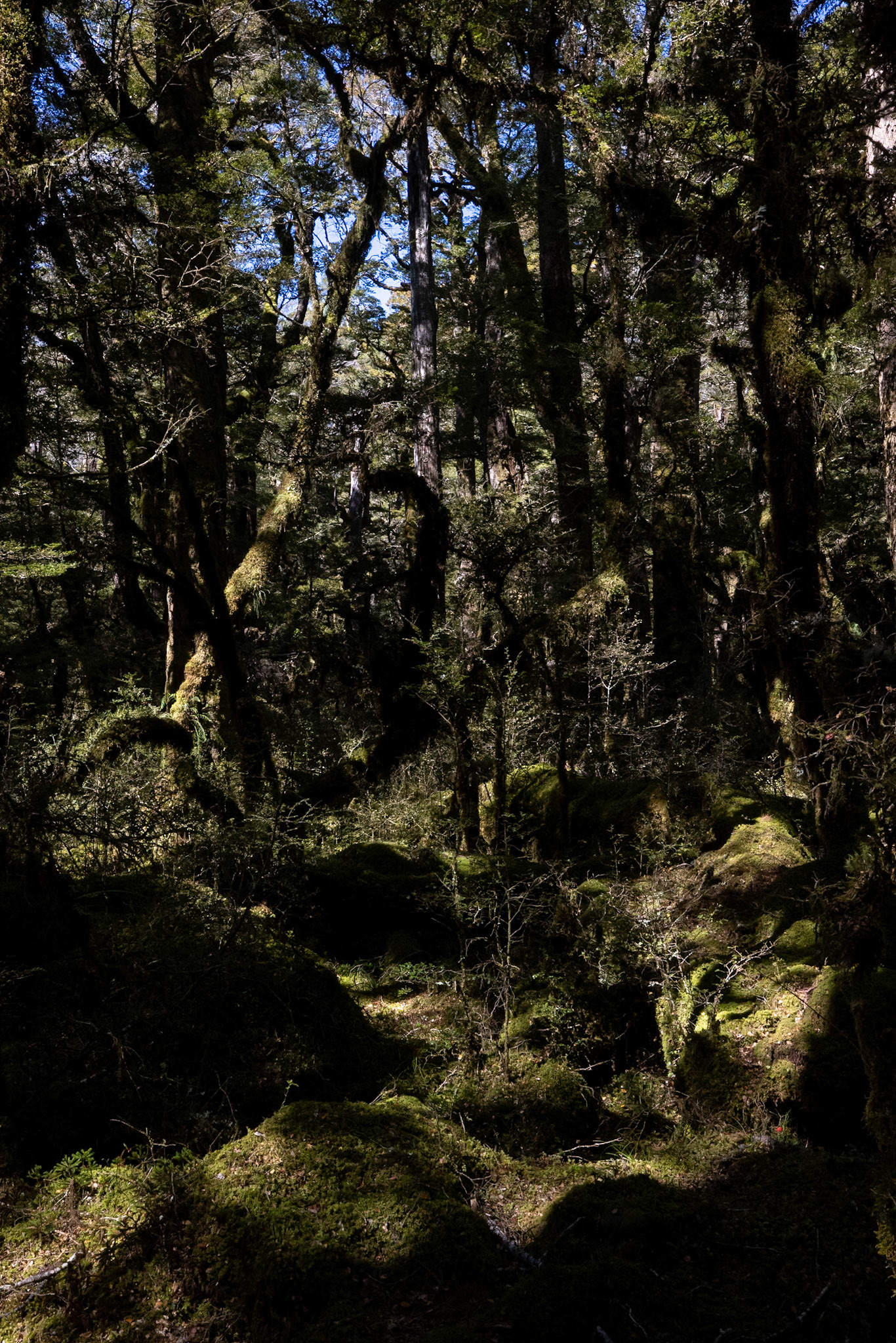 Te Anau, New Zealand