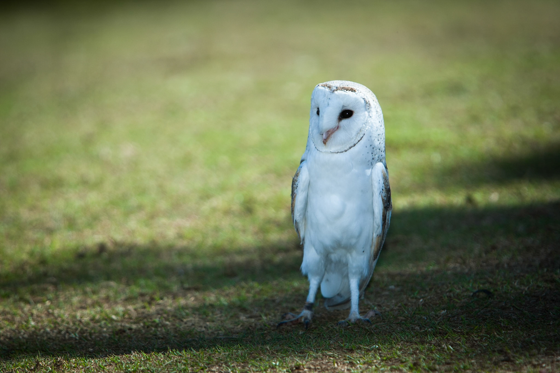 Lamington National Park, Queensland