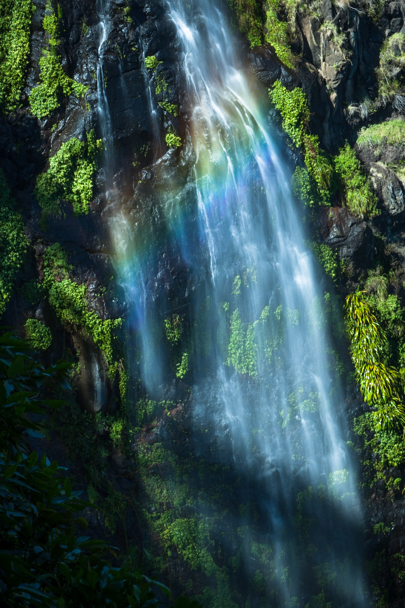 Lamington National Park, Queensland