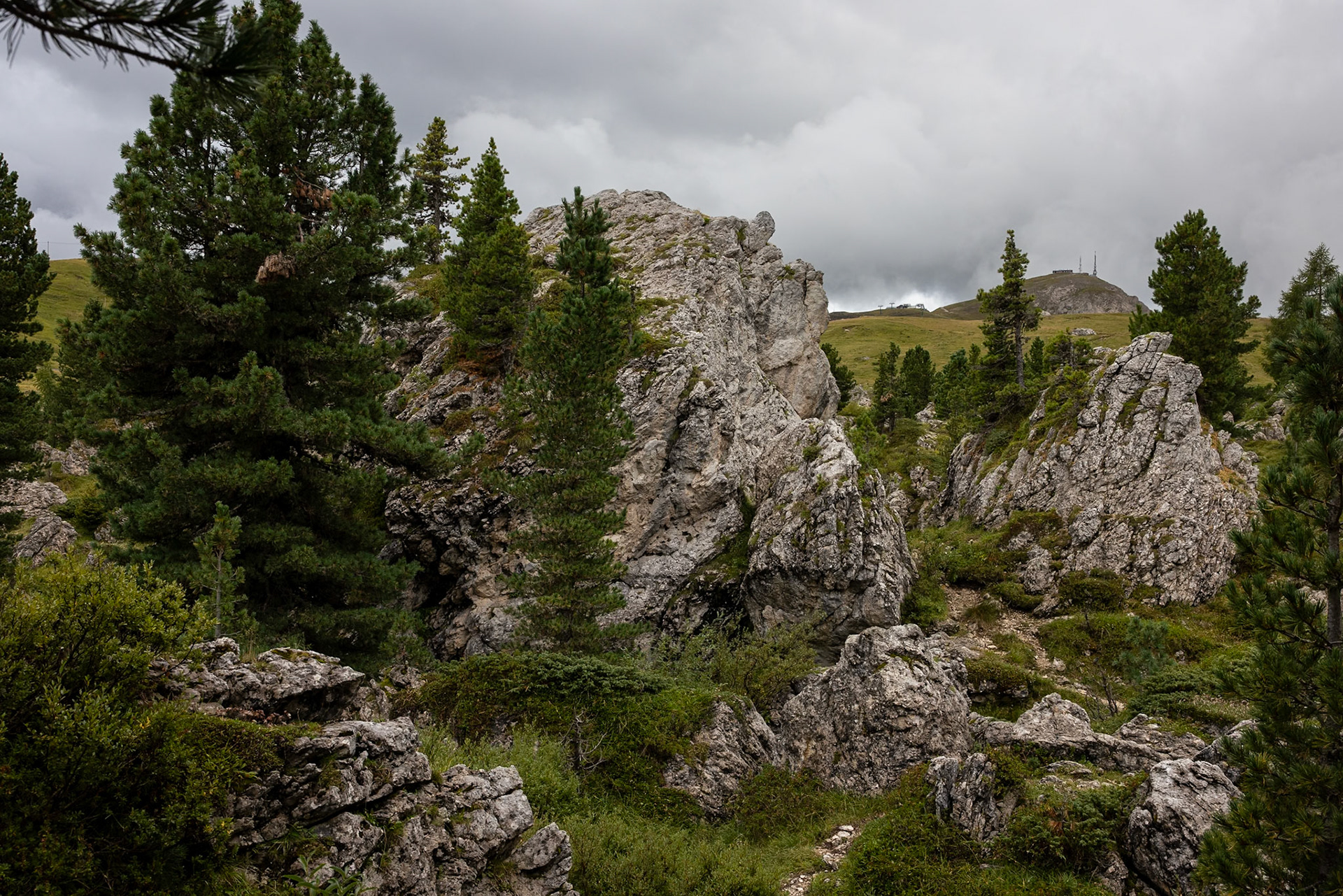 Passo Sella, Sassolungo, Selva di Val Gardena, Dolomites, South Tyrol, Italy