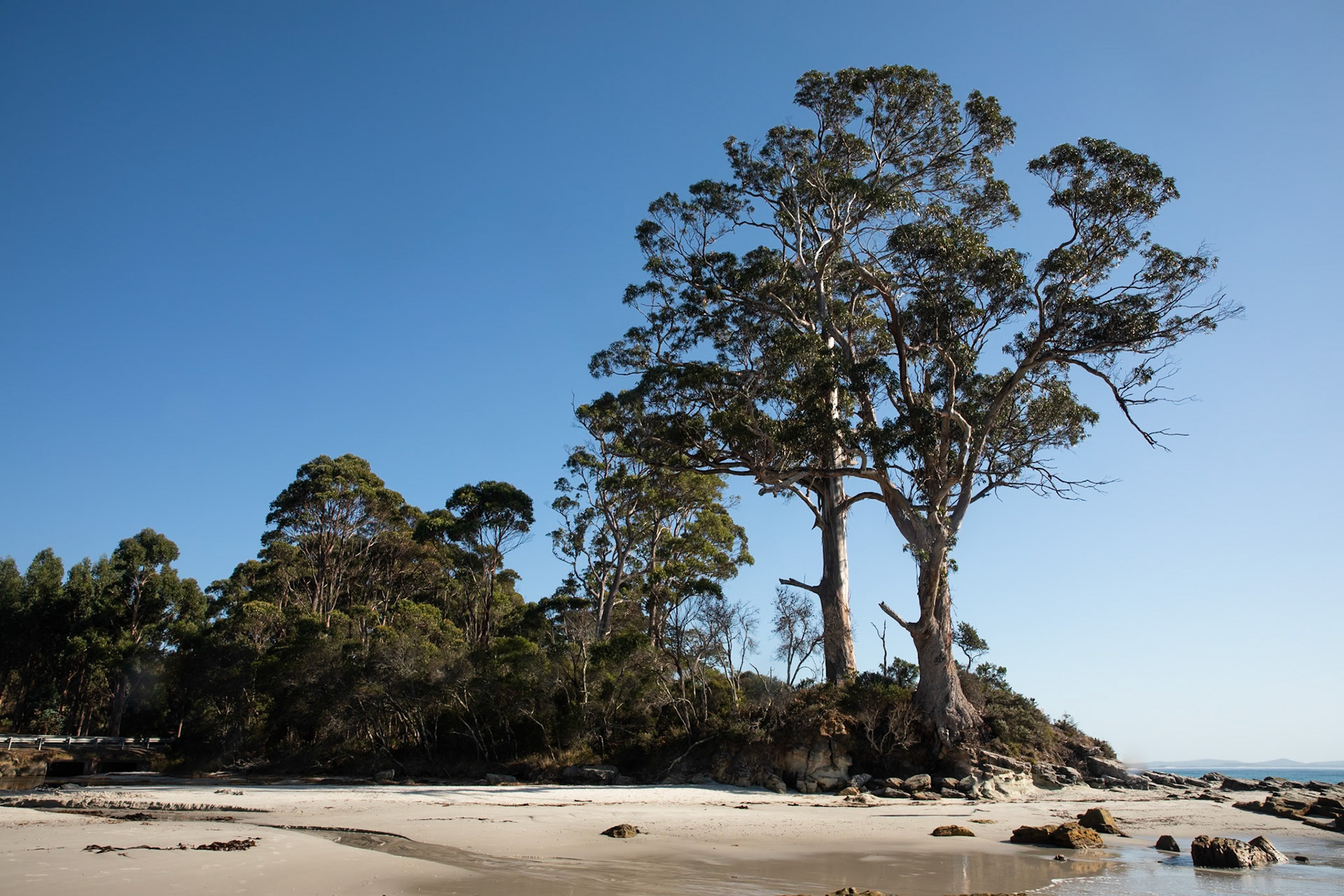 Adventure Bay, Bruny Island, Tasmania