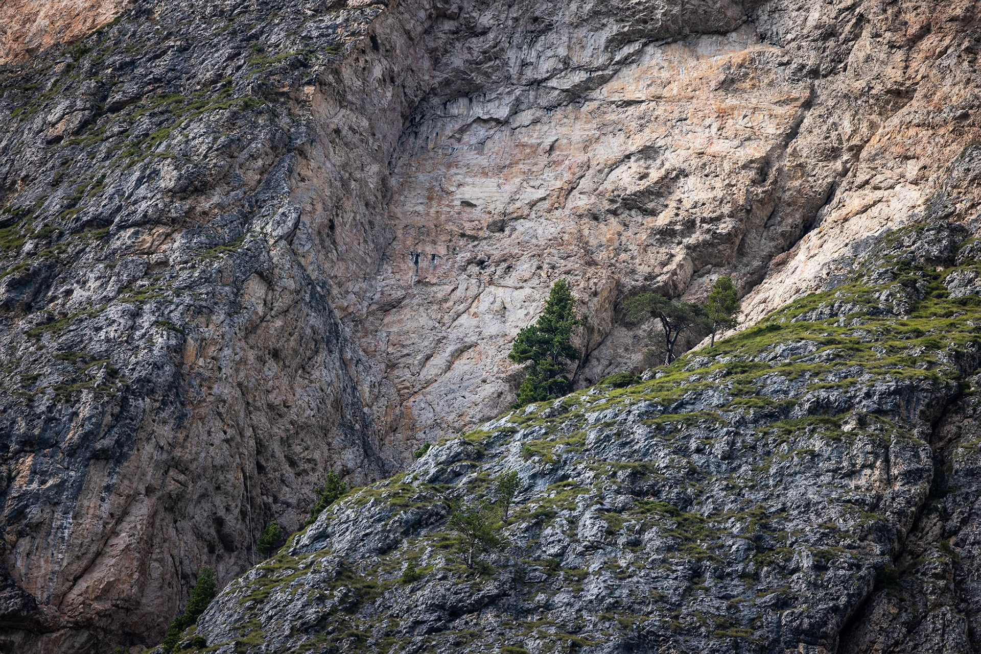 Val Lunga, Selva di Val Gardena, Dolomites, South Tyrol, Italy
