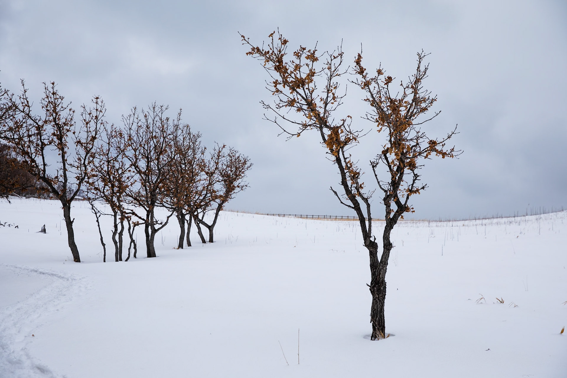 Shiretoko National Park, Hokkaido, Japan