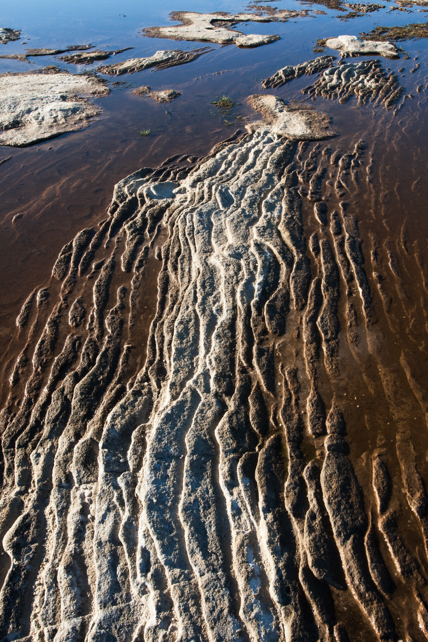 Weathering patterns in the rocks, Cape Solander, Kamay Botany Bay National Park