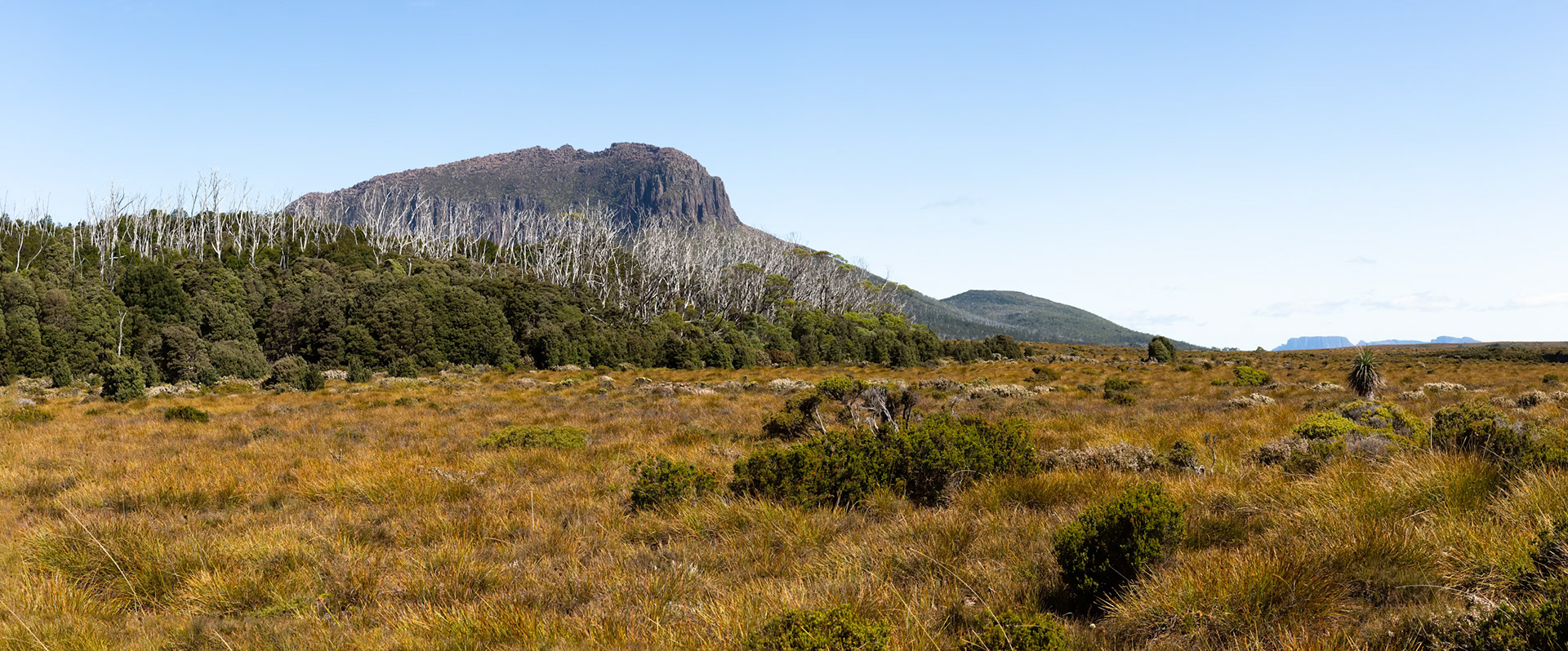 Barn Bluff to Pine Forest Moor, The Overland Track, Cradle Mountain- Lake St Clair National Park, Tasmania.