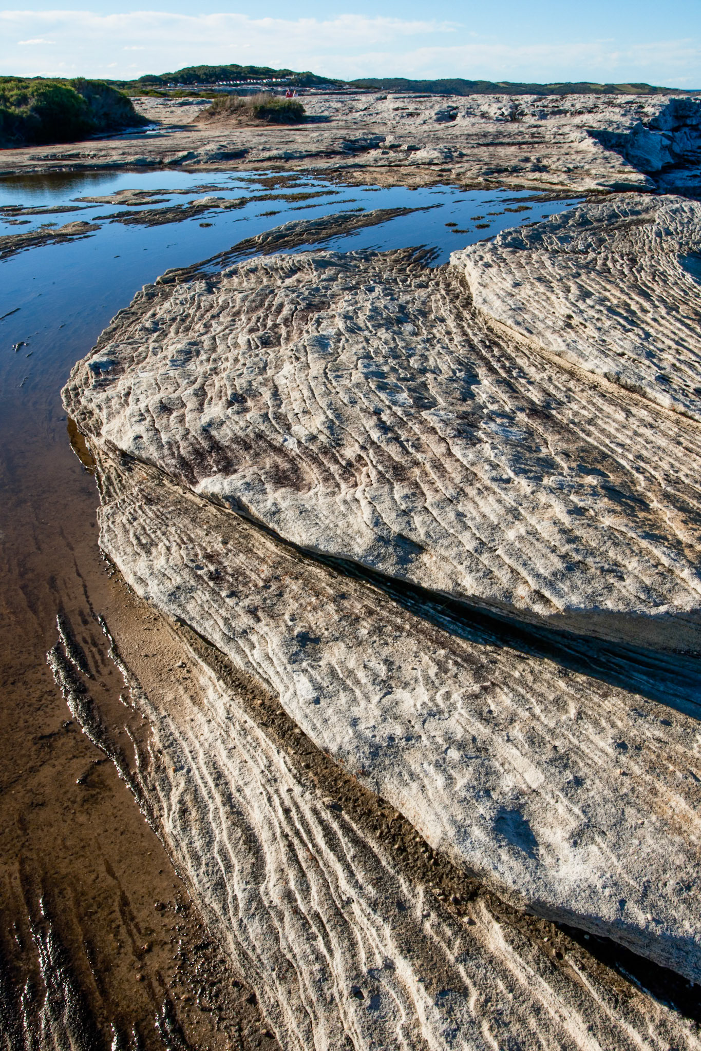 Weathering patterns in the rocks, Cape Solander, Kamay Botany Bay National Park
