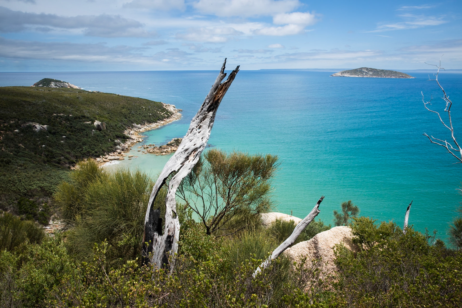 Tuesday am - Darby Saddle via Sparkes Lookout and Lookout Rocks to Tongue Point; and then on to Darby River for lunch.Tuesday pm - Lilly Pilly Gully carpark up to Tidal Overlook and on to Pillar Point then via Squeaky Beach and Picnic Beach to Picnic Beach carpark.