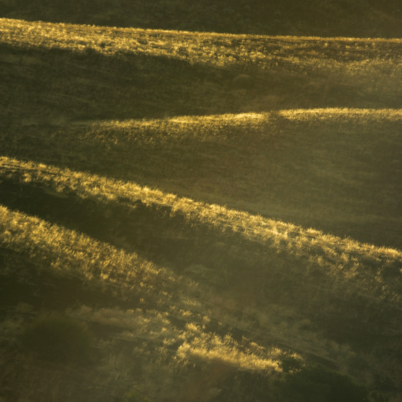 Swakopmund to Rhino Camp in Damaraland