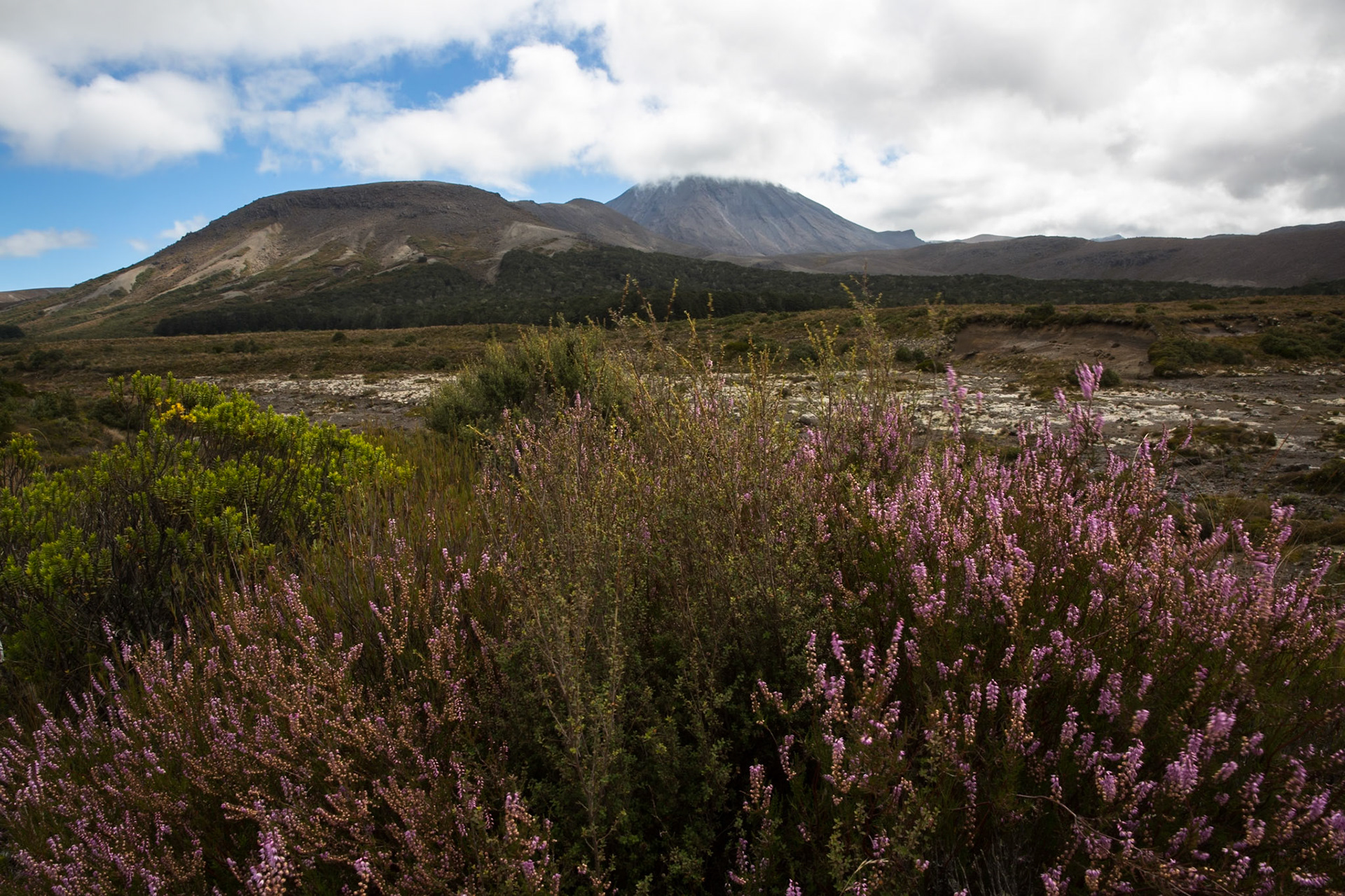 Waihohonu to Whakapapa village, Tongariro, New Zealand