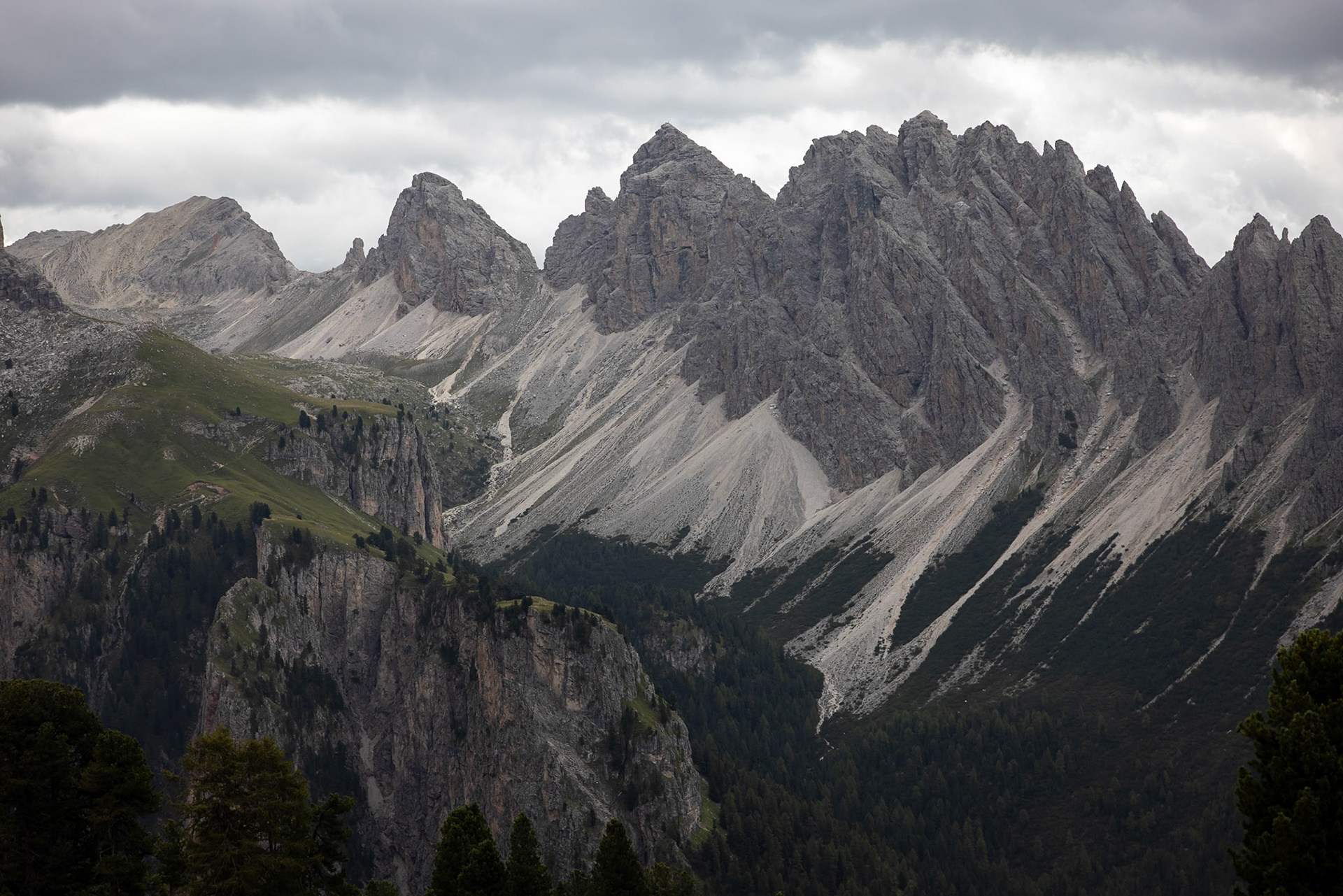 Stevia, Selva di Val Gardena, Dolomites, South Tyrol, Italy
