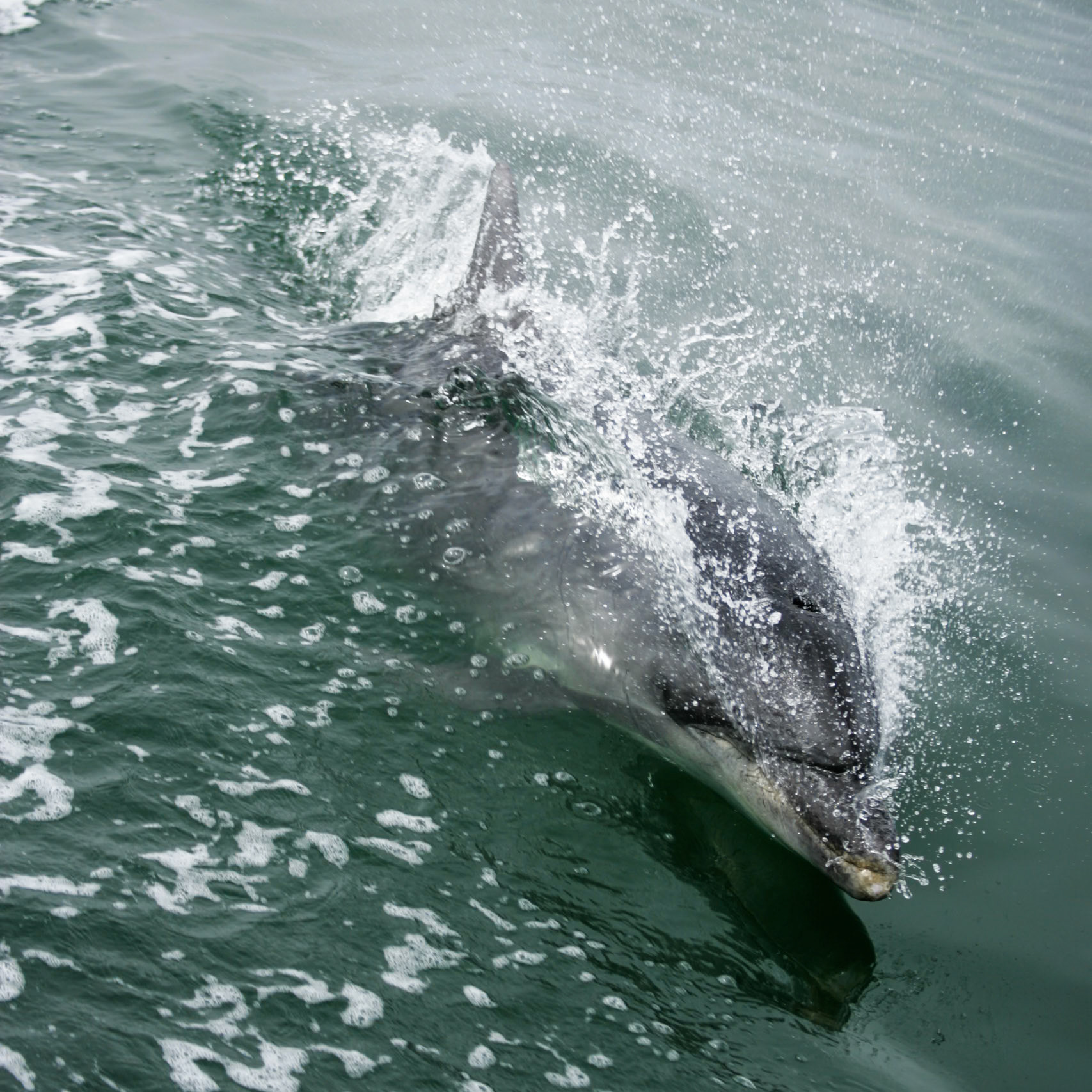 Sesriem to Sandwich harbour, Namibia