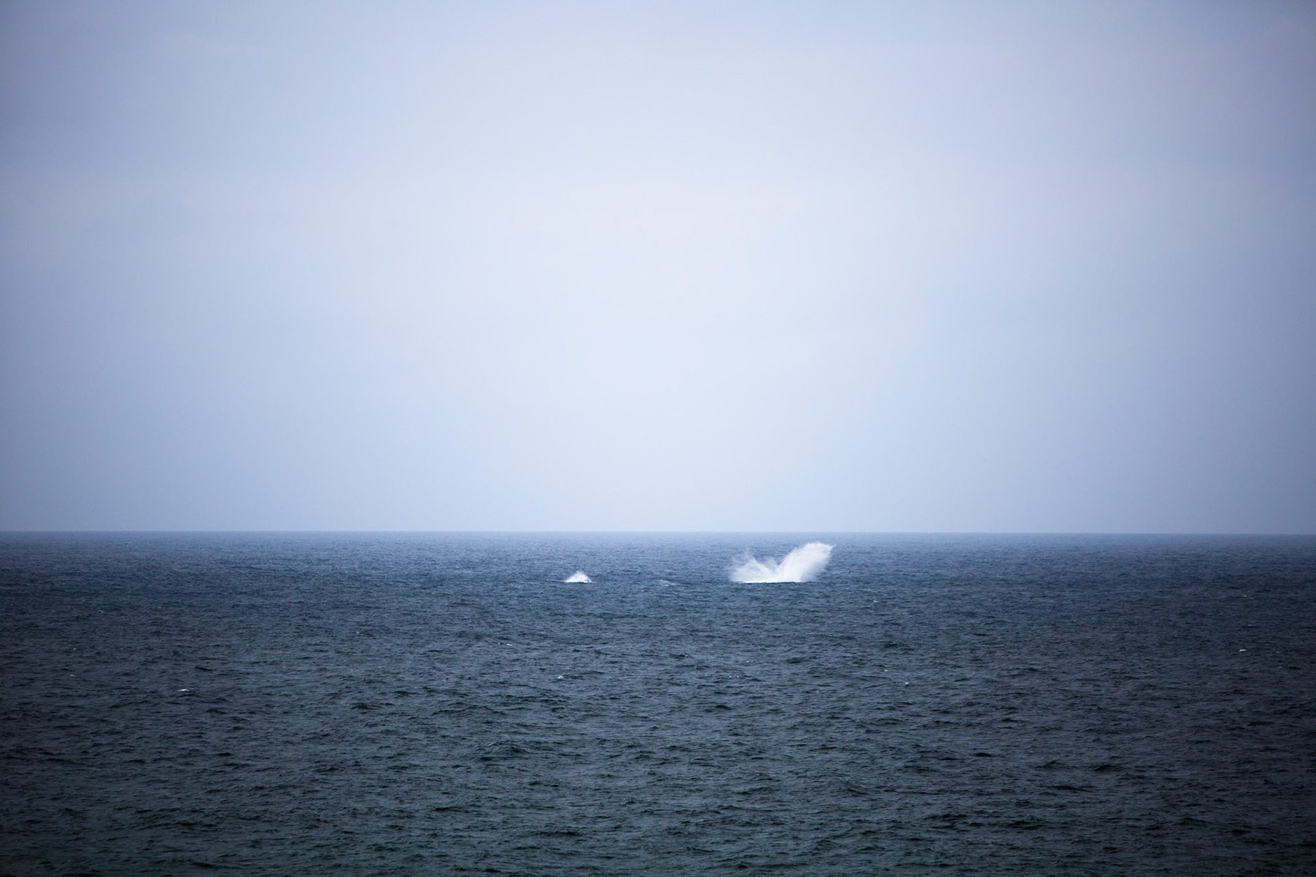 Stradbroke Island, Queensland