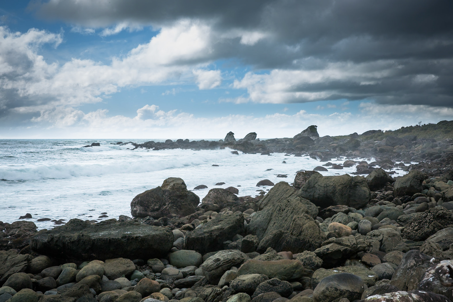 Longreef, Hollyford Track, Pyke Lodge to Martin's Bay, New Zealand