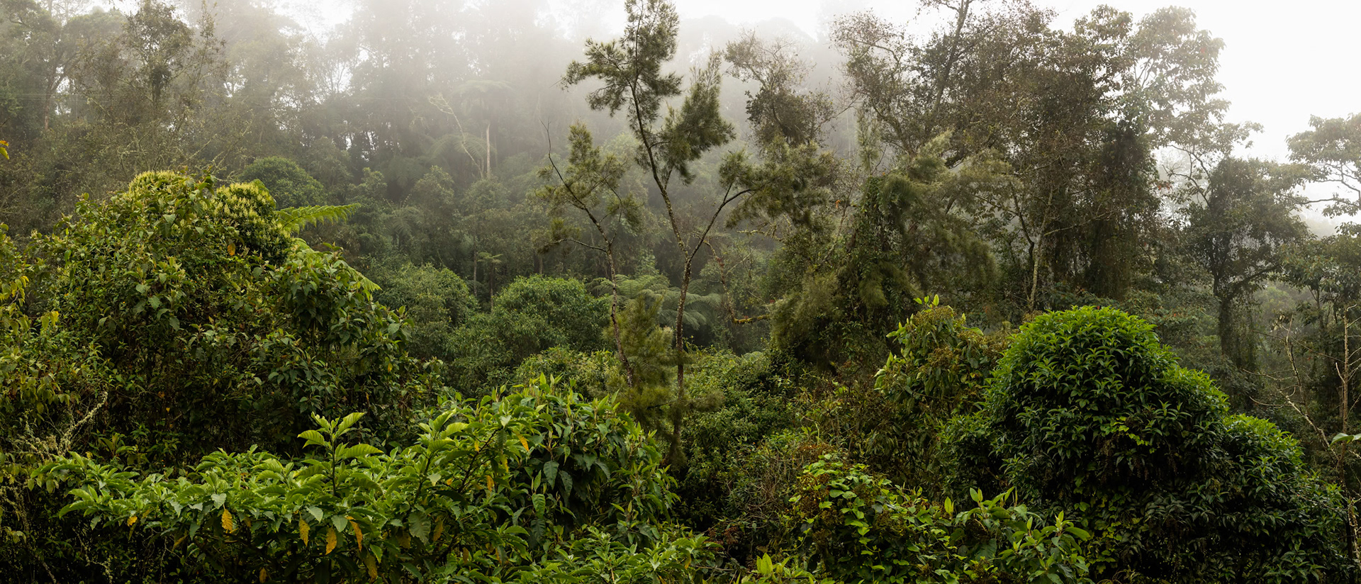 Rio Blanco, Colombia