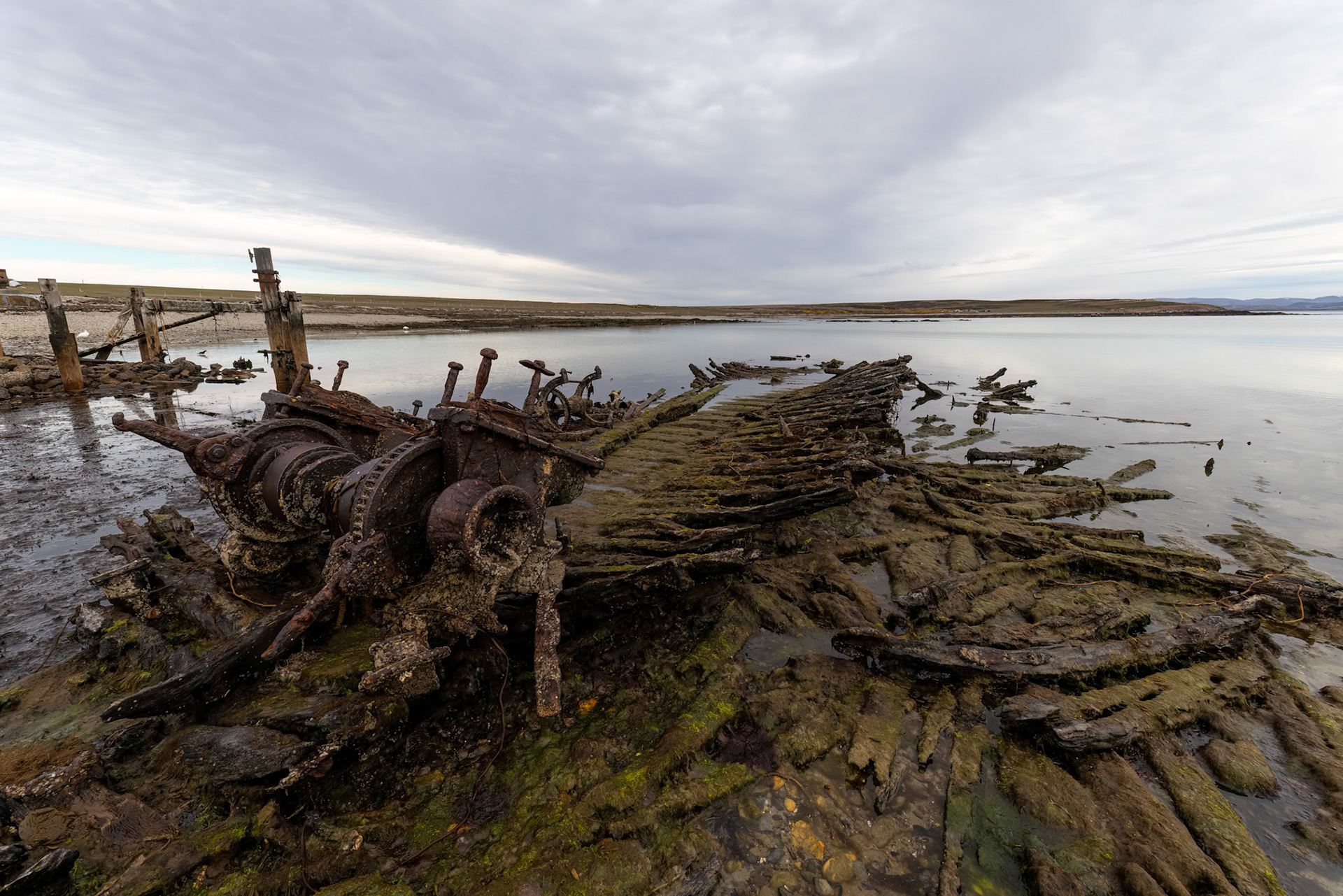 Landscape, Pebble Island, Falkland Islands