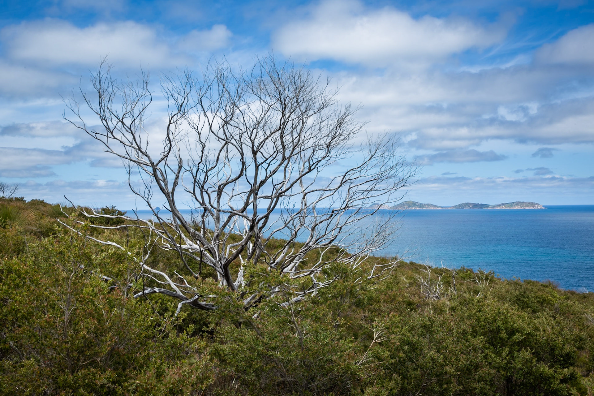 Tuesday am - Darby Saddle via Sparkes Lookout and Lookout Rocks to Tongue Point; and then on to Darby River for lunch.Tuesday pm - Lilly Pilly Gully carpark up to Tidal Overlook and on to Pillar Point then via Squeaky Beach and Picnic Beach to Picnic Beach carpark.