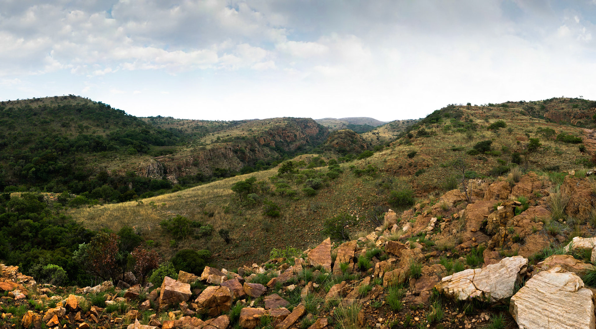 Stitched Panorama