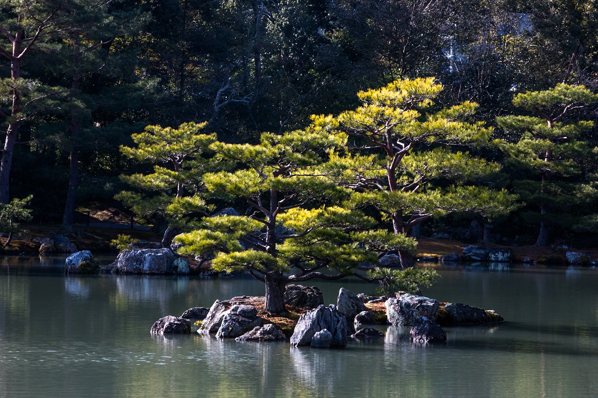 Kinkakuji Golden Pavillion, Kyoto, Japan