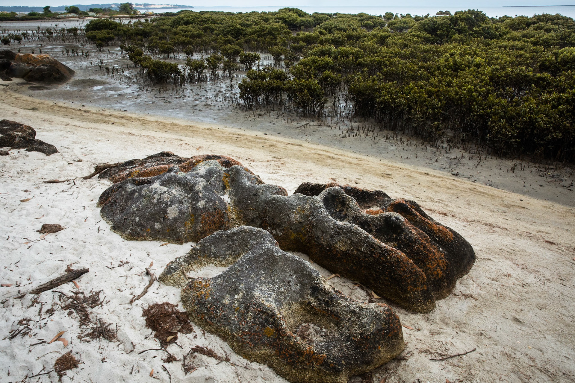Early am short walk  from Five Mile carpark to Millers Landing and back.