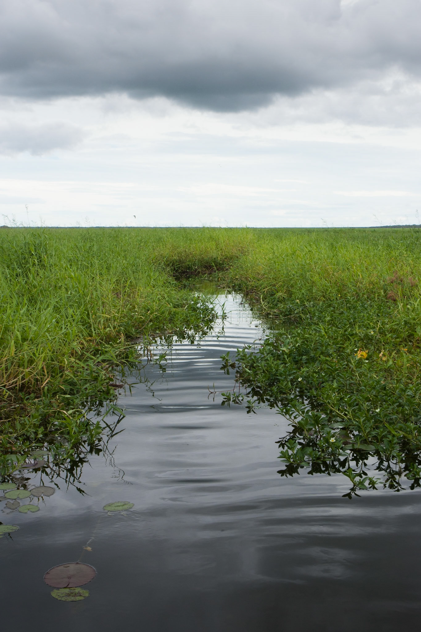 Waterway, Mount Borradale, Arnhemland, Northern Territory