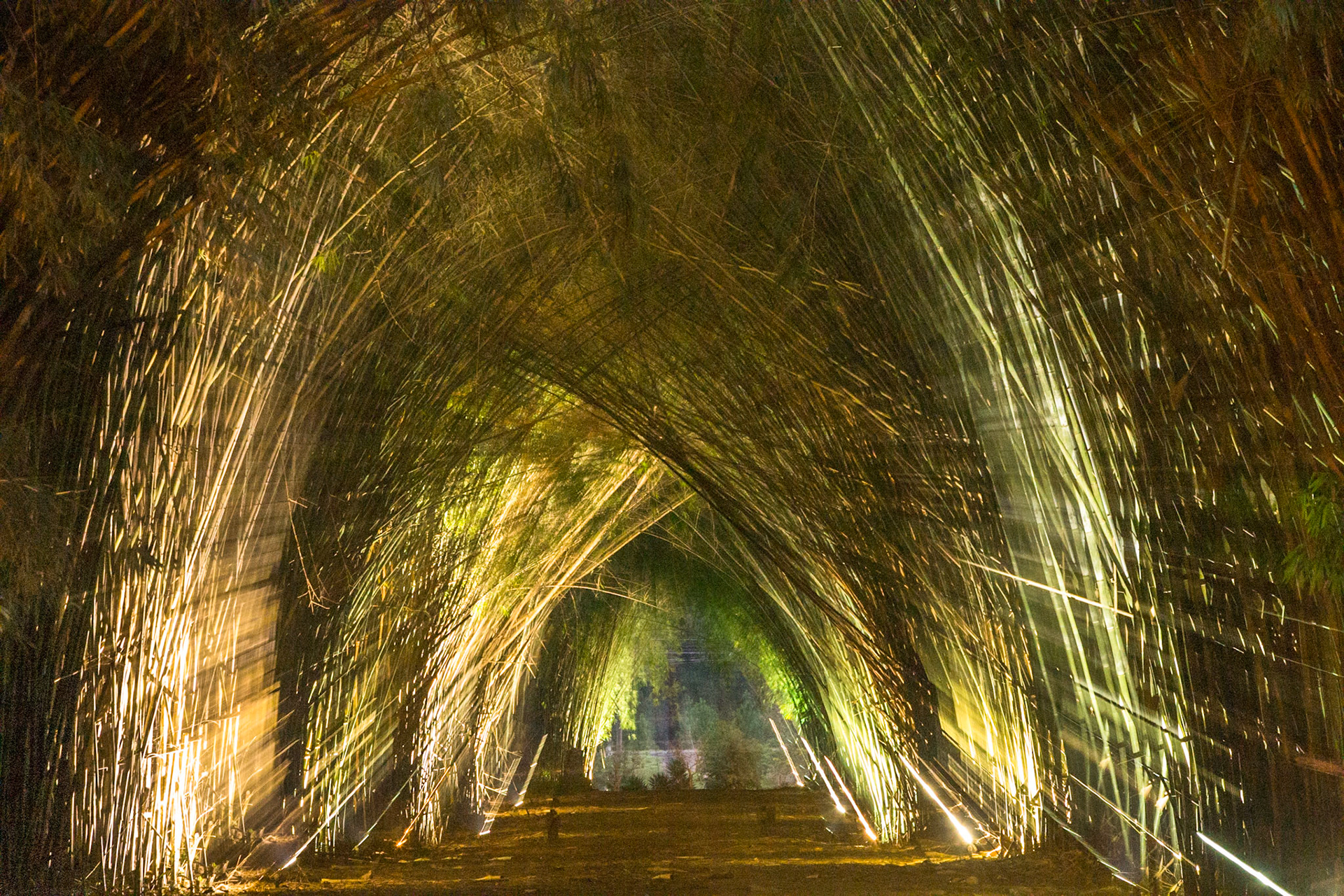 Puerto Valle Esteros, Ibera wetlands, Corrientes, Argentina