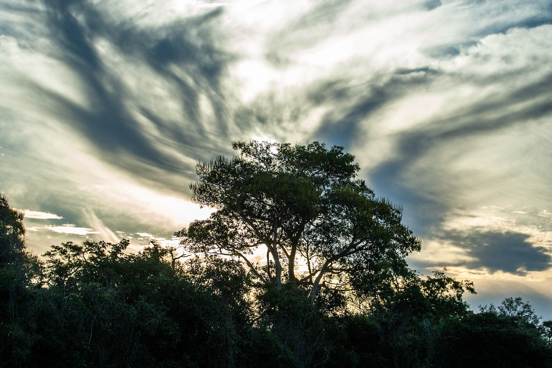 Clouds, Porto Jofre, Pantanal, Brazil