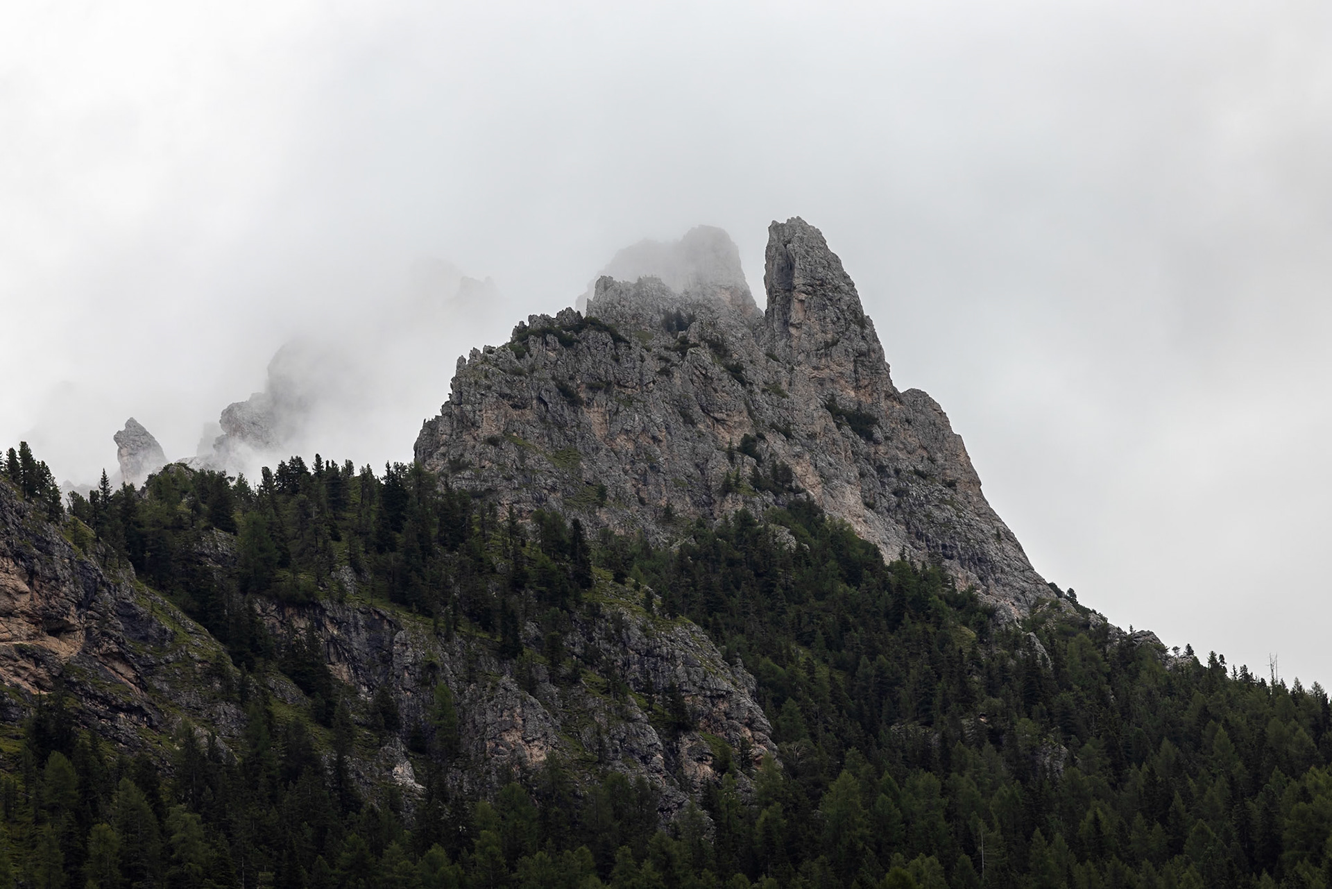 Sassalungo, Selva di Val Gardena, Dolomites, South Tyrol, Italy