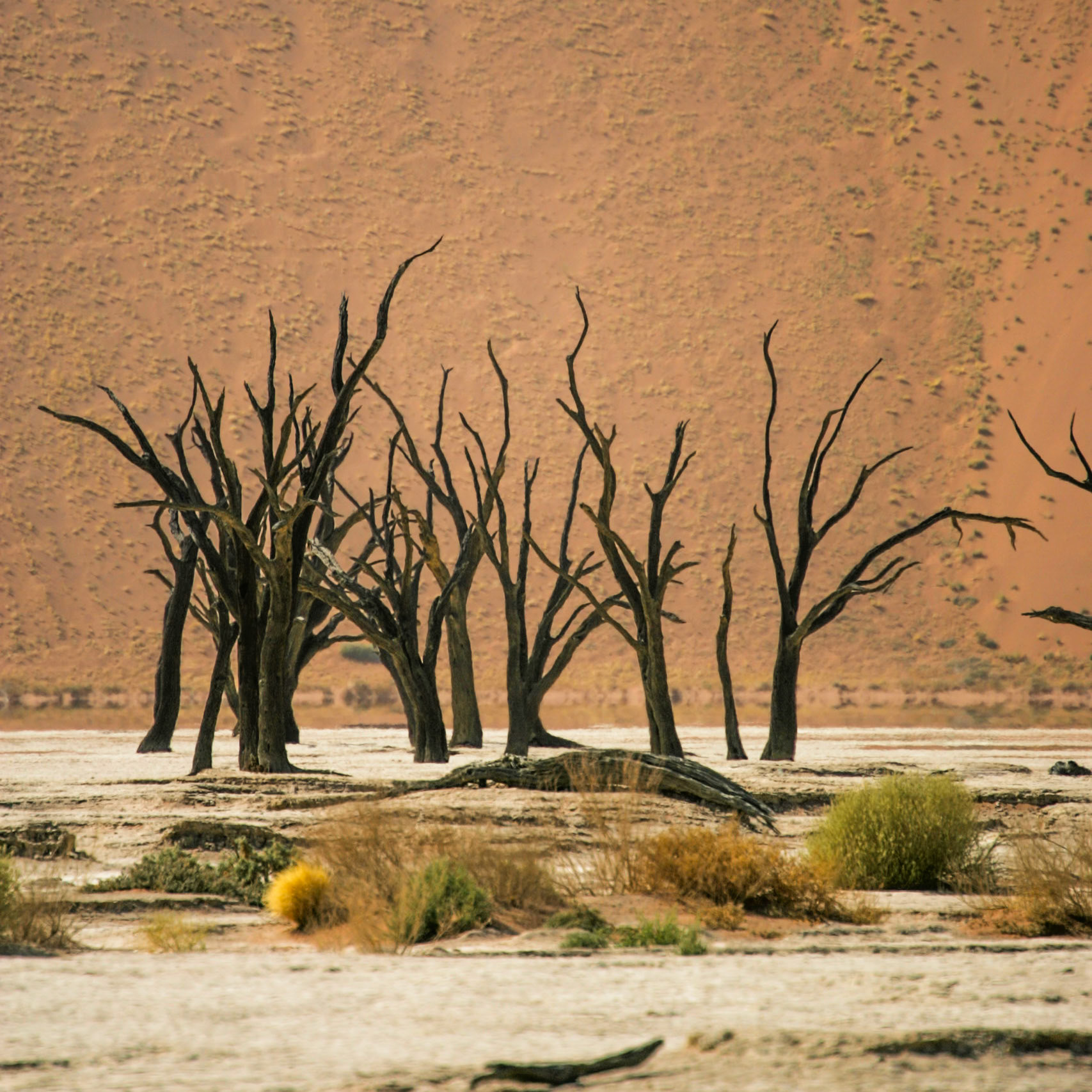 Sossusvlei, Namibia