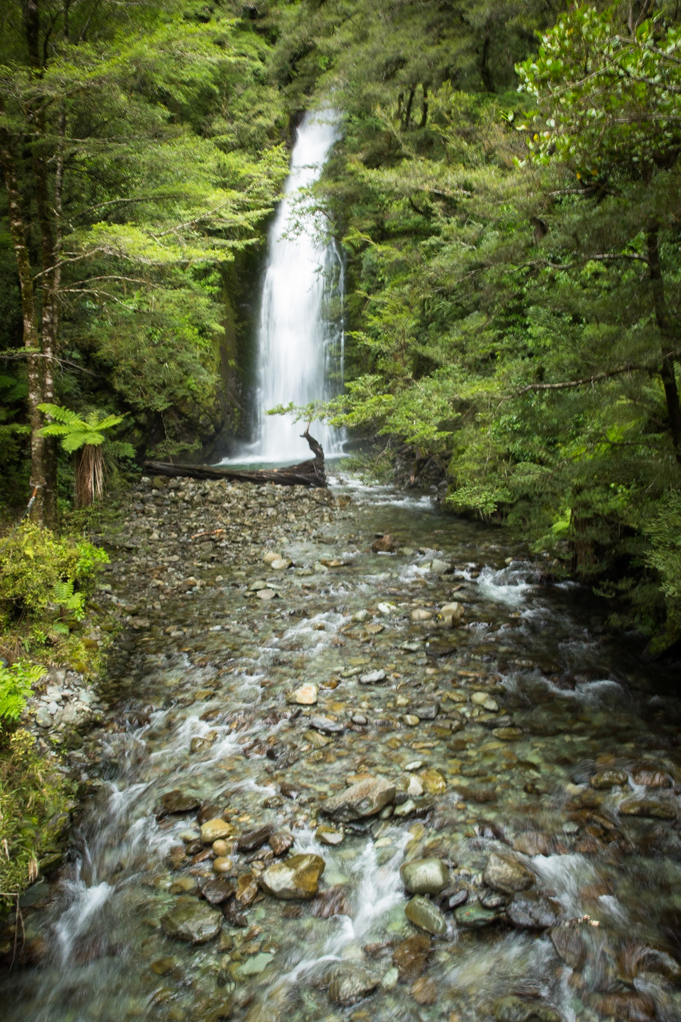Hollyford Track to Pyke Lodge, New Zealand