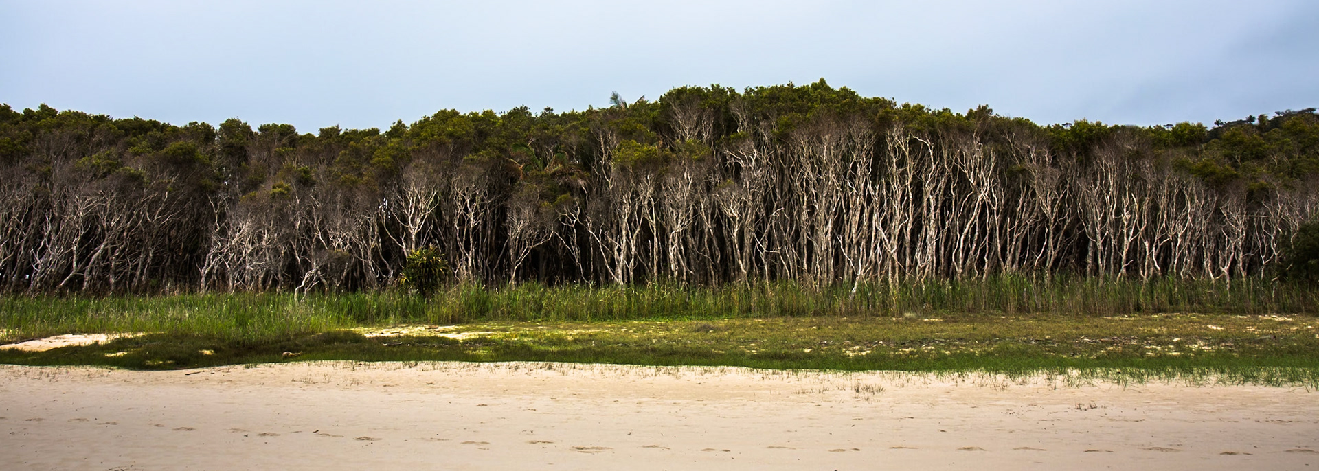 Stradbroke Island, Queensland