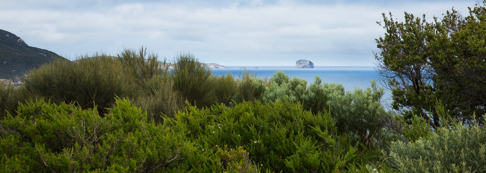 Circuit from Telegraph Saddle via Telegraph Junction to Oberon Bay (lunch), then Little Oberon Bay, Norman Point  and Norman Beach to Tidal River.