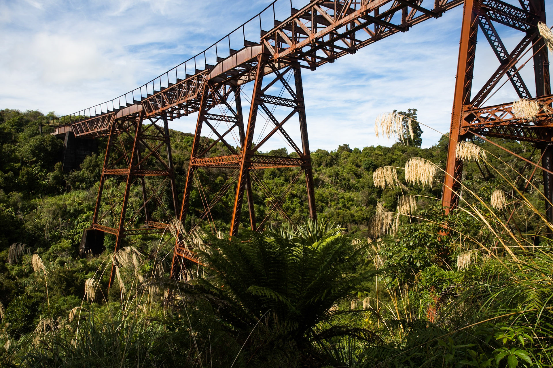 Old Coach Road, Tongariro, New Zealand