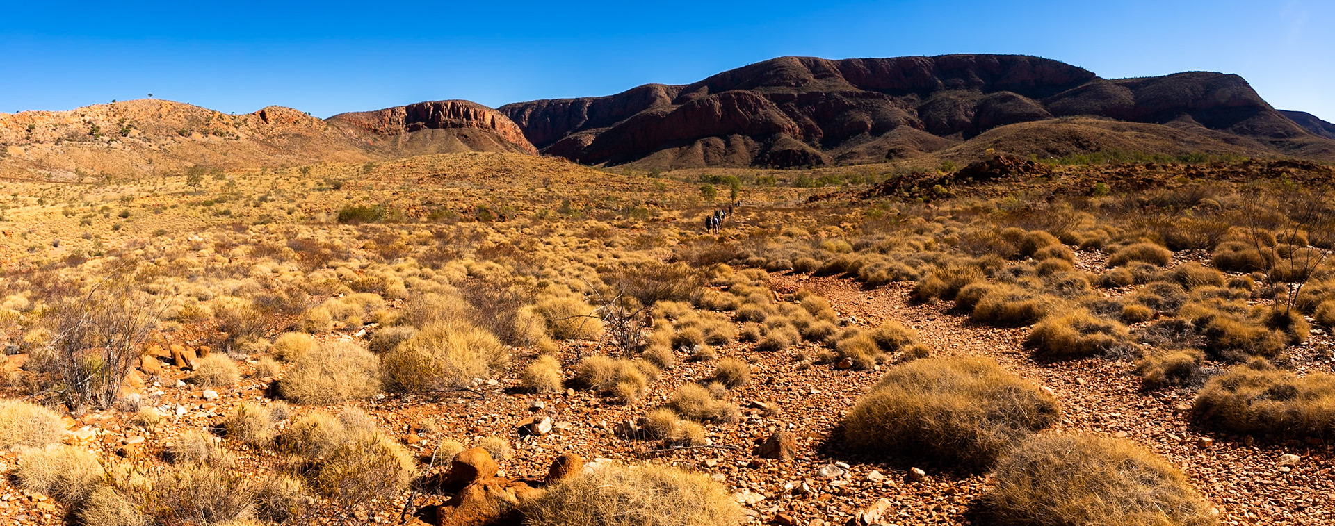 Orniston Pound, Larapinta Trail, Northern Territory, Australia