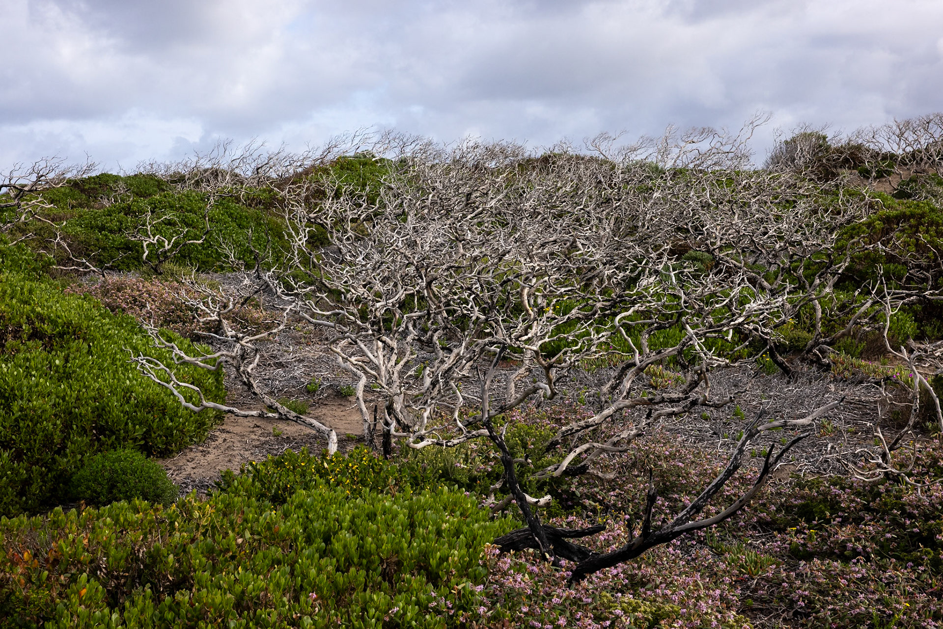 Kangaroo Island, South Australia