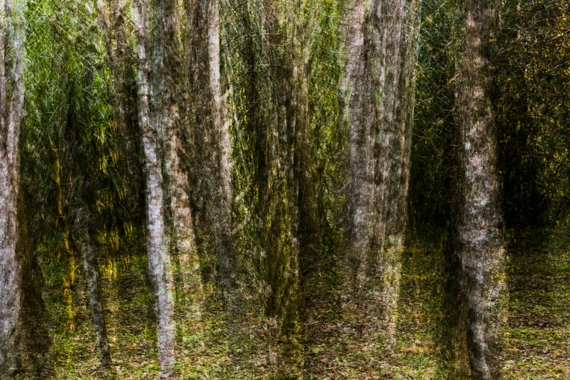 Moconá, Misiones, Argentina