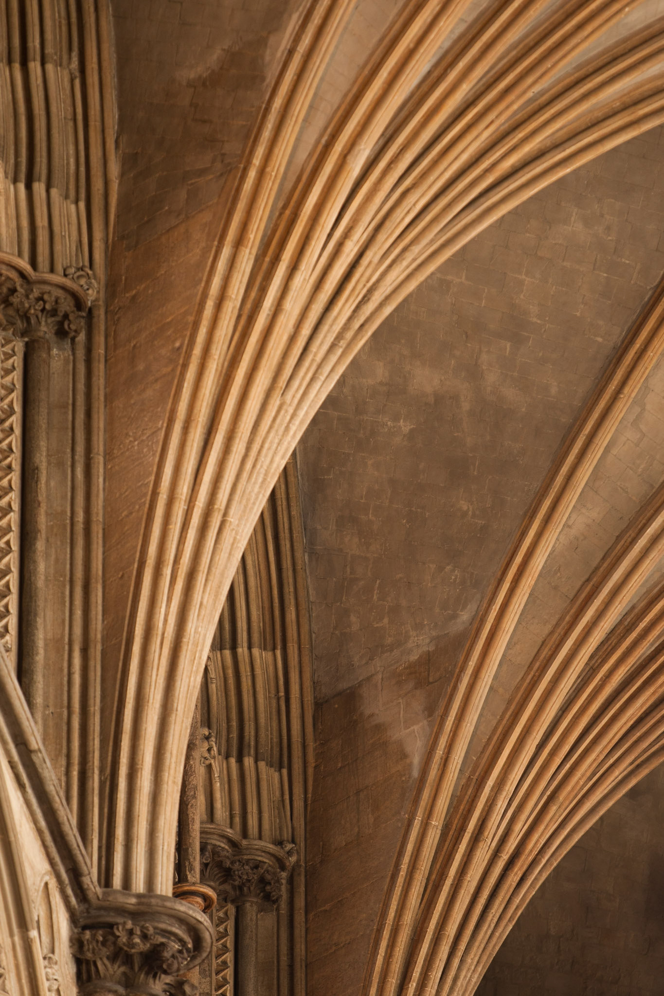 Ribbed vault Ely Cathedral, Cambridgeshire