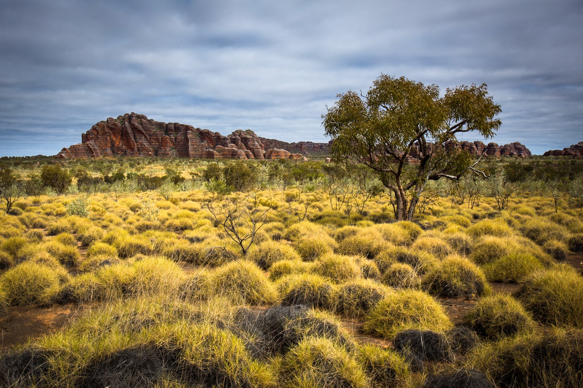 The Bungle Bungles, West Australia
