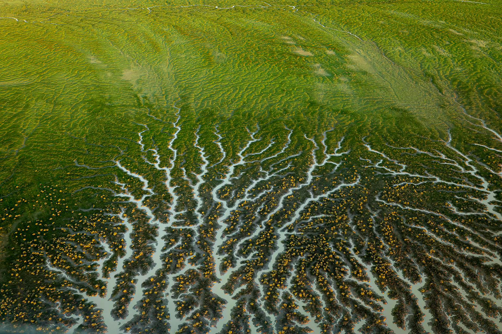 Landscape, Goyder lagoon, Birdsville, Queensland, Australia
