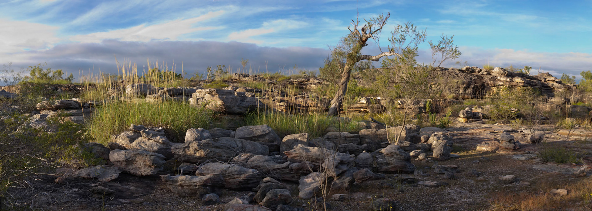 Rock formations and tree at dawn. Davidson's Camp, Mount Borradale, Arnhemland, Northern Territory