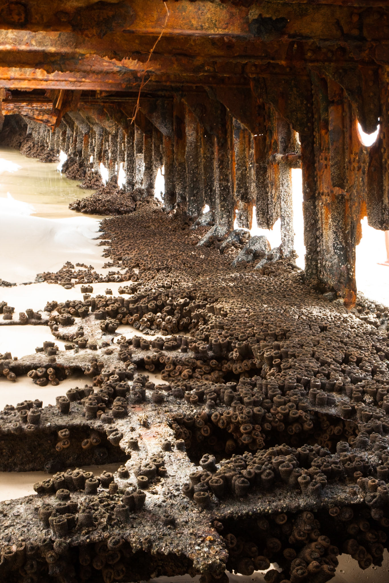 Maheno wreck, Fraser Island, Queensland