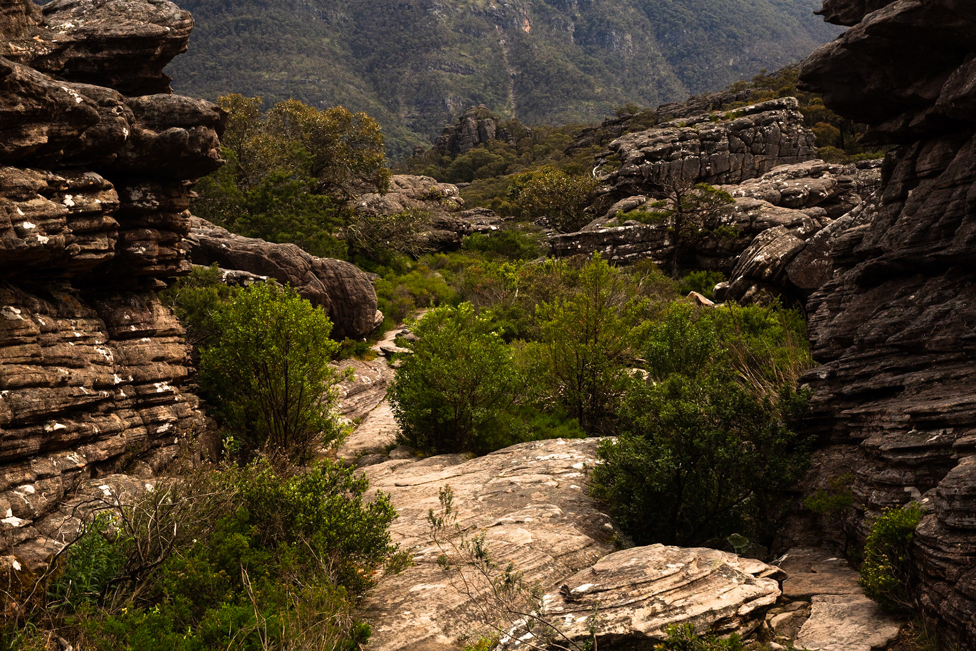 The Pinnacle circuit, Hall's Gap, The Grampians, Victoria