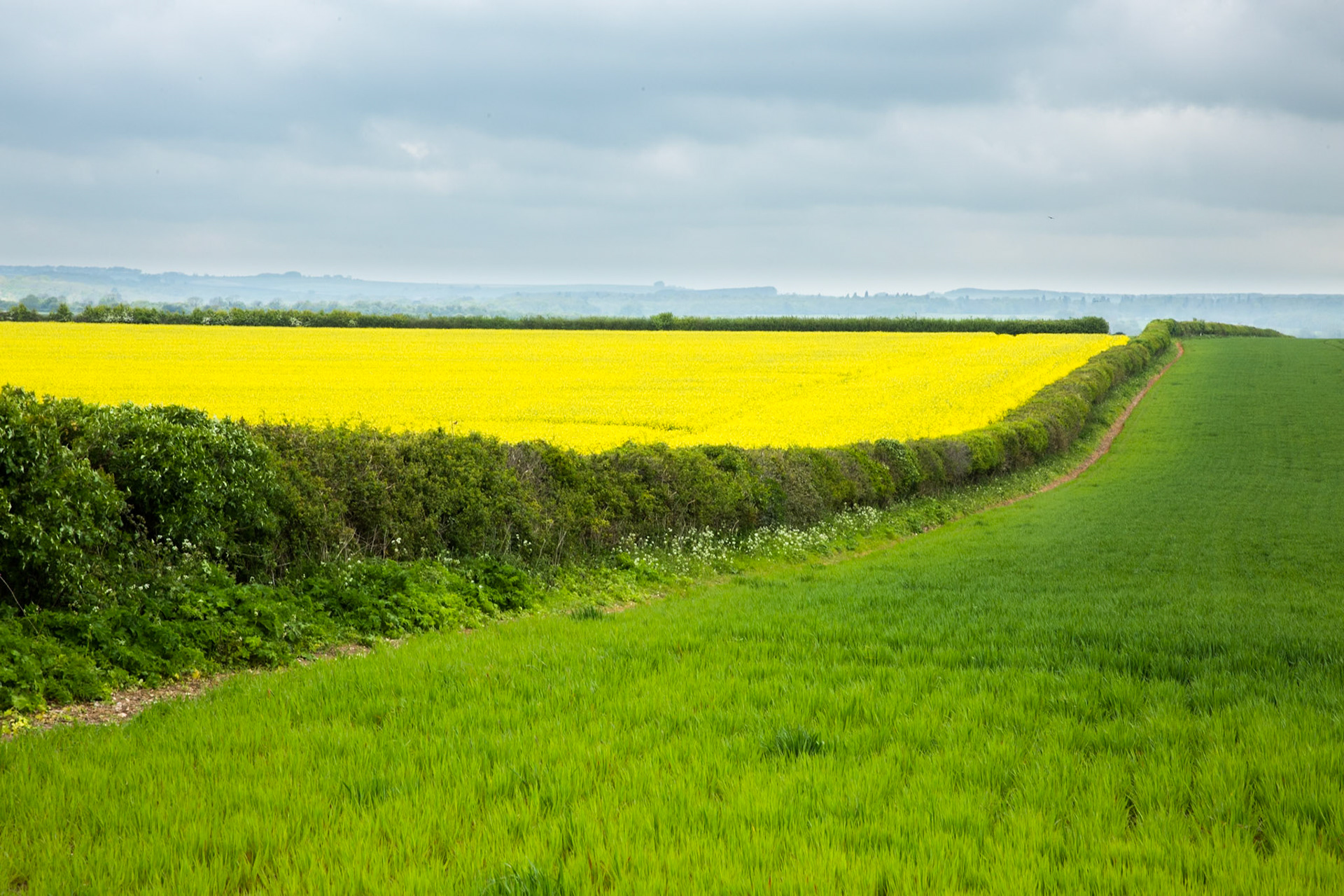 En route from Cambo House to Old Sarum, Dorset