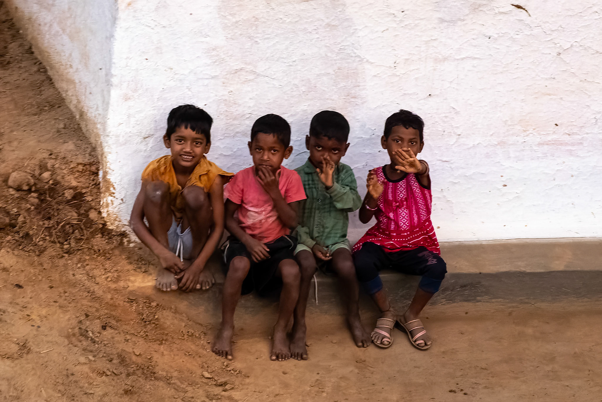 The Bagh, Khana, India